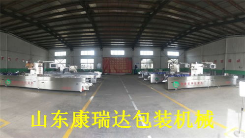 山東康瑞達香脆腸全自動包裝機價格解析